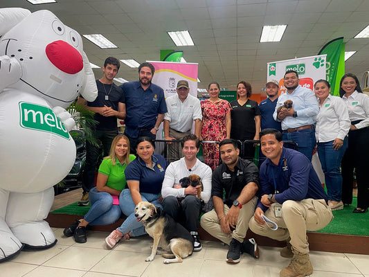 Grupo Melo y Municipio de Panamá por el bienestar animal