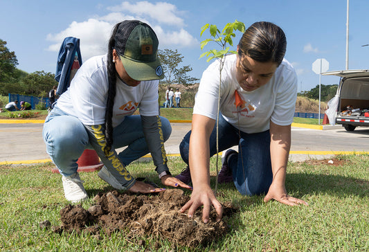 Grupo Melo celebra el Día de la Tierra con siembra de plantones